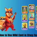 How to Use Wild Card in Crazy Fox